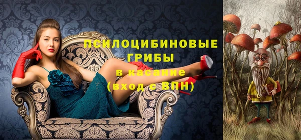 СК Костерёво