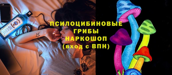 молекула духа Корсаков
