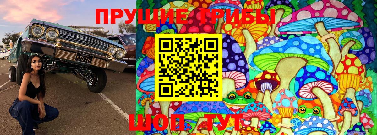 Галлюциногенные грибы ЛСД Дивногорск