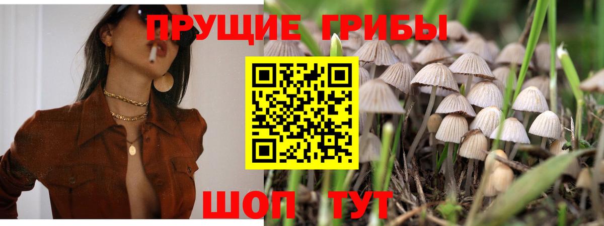 Псилоцибиновые грибы Psilocybine cubensis  Вход с VPN  даркнет сайт  Псилоцибиновые грибы MAGIC MUSHROOMS  Дивногорск 